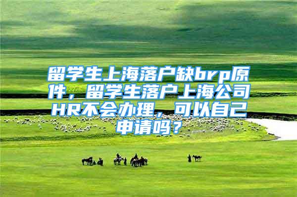 留學(xué)生上海落戶缺brp原件，留學(xué)生落戶上海公司HR不會辦理，可以自己申請嗎？