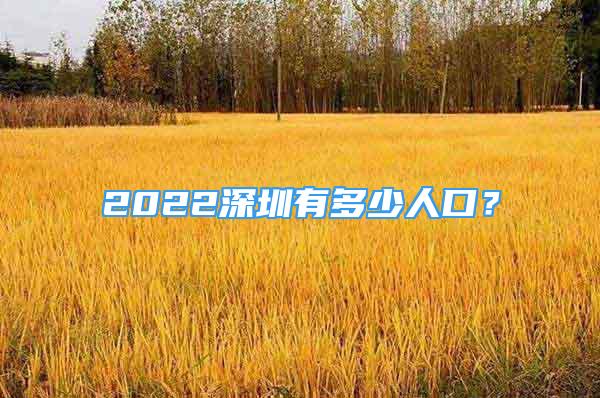 2022深圳有多少人口？