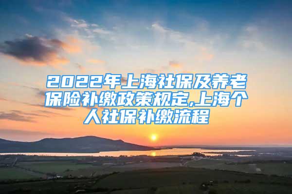 2022年上海社保及養(yǎng)老保險補繳政策規(guī)定,上海個人社保補繳流程