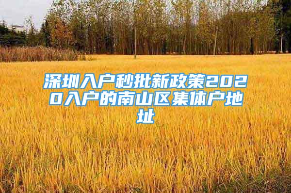 深圳入戶秒批新政策2020入戶的南山區(qū)集體戶地址