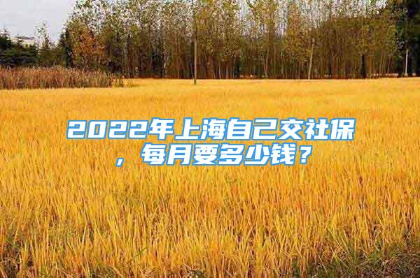 2022年上海自己交社保，每月要多少錢(qián)？