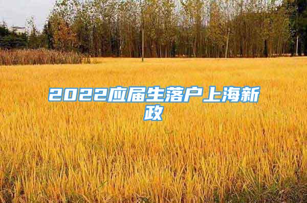 2022應屆生落戶上海新政