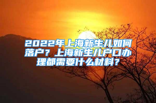 2022年上海新生兒如何落戶？上海新生兒戶口辦理都需要什么材料？