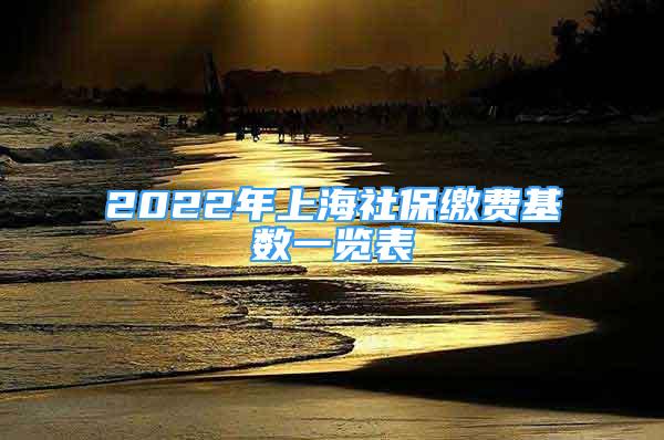 2022年上海社保繳費基數(shù)一覽表