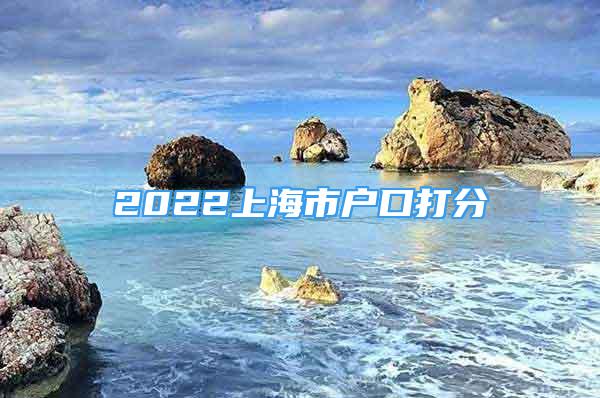 2022上海市戶口打分