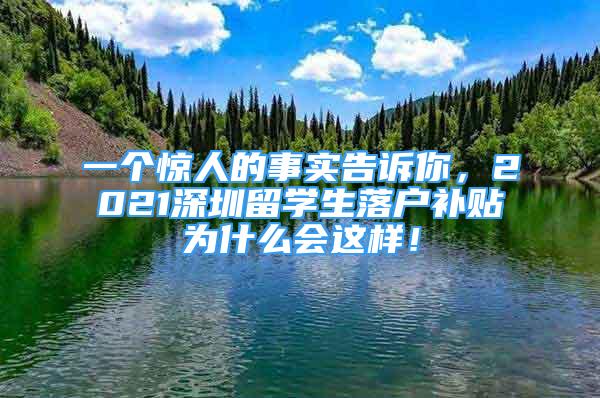 一個(gè)驚人的事實(shí)告訴你，2021深圳留學(xué)生落戶補(bǔ)貼為什么會(huì)這樣！