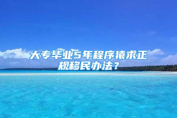 大專畢業(yè)5年程序猿求正規(guī)移民辦法？