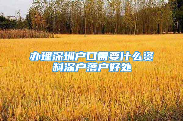 辦理深圳戶口需要什么資料深戶落戶好處