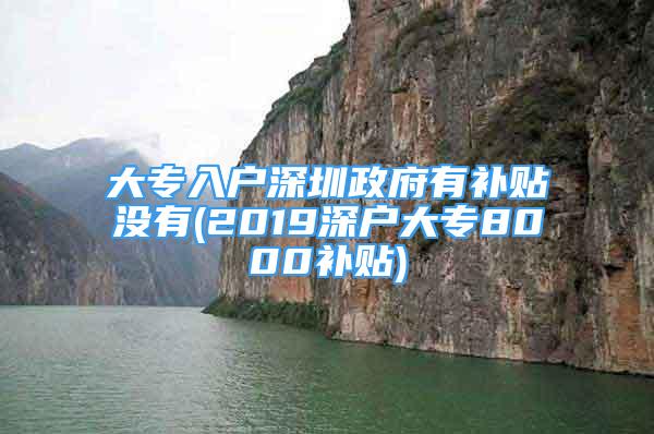 大專入戶深圳政府有補(bǔ)貼沒有(2019深戶大專8000補(bǔ)貼)