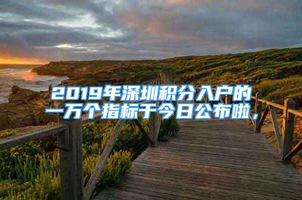 2019年深圳積分入戶(hù)的一萬(wàn)個(gè)指標(biāo)于今日公布啦，