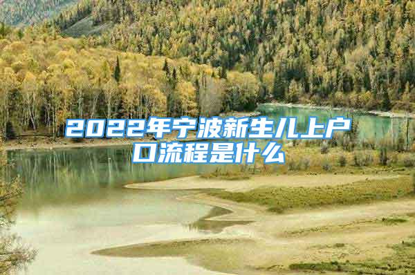 2022年寧波新生兒上戶口流程是什么