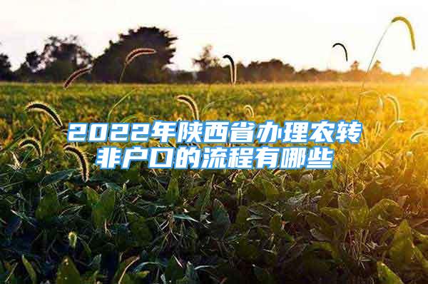 2022年陜西省辦理農(nóng)轉(zhuǎn)非戶口的流程有哪些