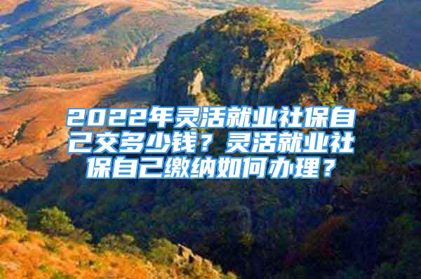 2022年靈活就業(yè)社保自己交多少錢？靈活就業(yè)社保自己繳納如何辦理？