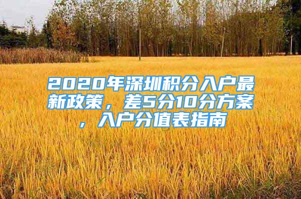 2020年深圳積分入戶最新政策，差5分10分方案，入戶分值表指南