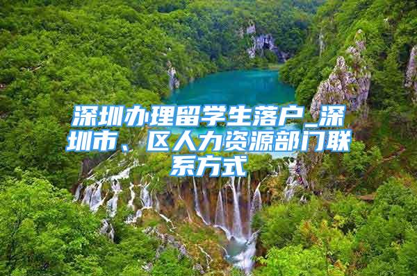 深圳辦理留學(xué)生落戶_深圳市、區(qū)人力資源部門聯(lián)系方式