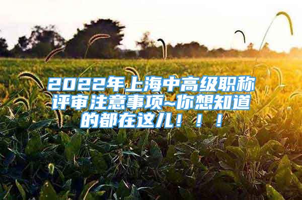 2022年上海中高級職稱評審注意事項~你想知道的都在這兒?。?！