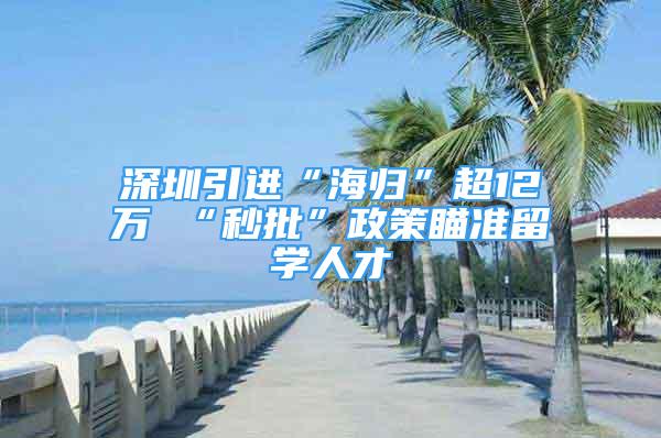 深圳引進(jìn)“海歸”超12萬(wàn) “秒批”政策瞄準(zhǔn)留學(xué)人才