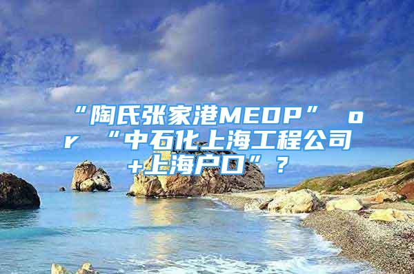 “陶氏張家港MEDP” or “中石化上海工程公司+上海戶口”？