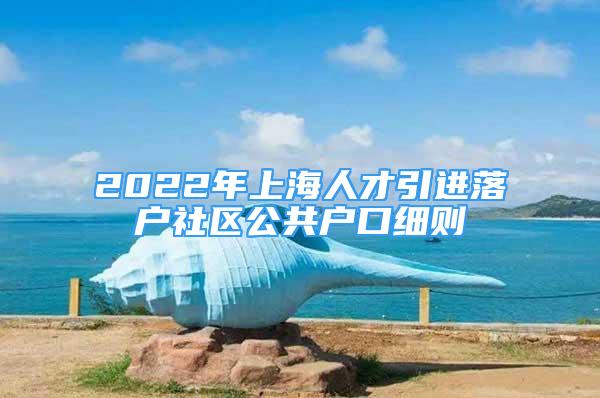 2022年上海人才引進(jìn)落戶社區(qū)公共戶口細(xì)則