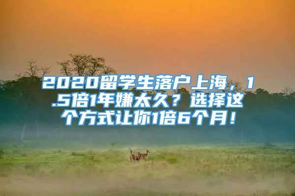 2020留學(xué)生落戶上海，1.5倍1年嫌太久？選擇這個(gè)方式讓你1倍6個(gè)月！