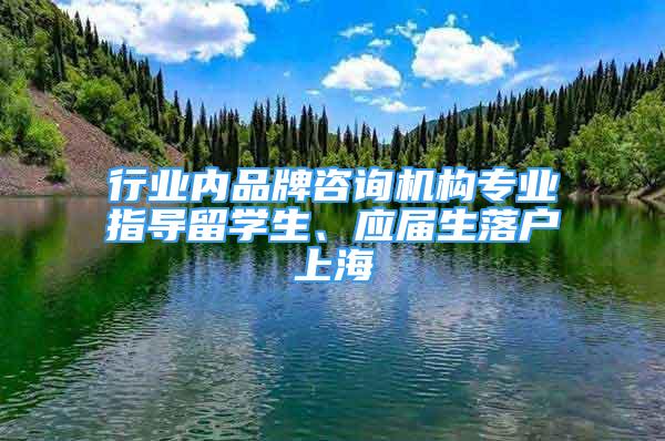 行業(yè)內(nèi)品牌咨詢機(jī)構(gòu)專業(yè)指導(dǎo)留學(xué)生、應(yīng)屆生落戶上海