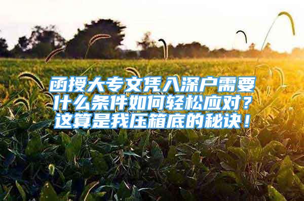 函授大專文憑入深戶需要什么條件如何輕松應(yīng)對？這算是我壓箱底的秘訣！