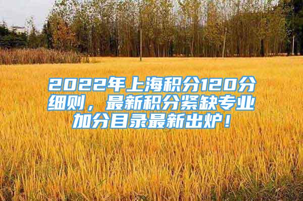 2022年上海積分120分細(xì)則，最新積分緊缺專業(yè)加分目錄最新出爐！