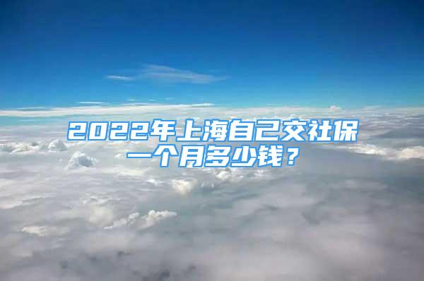 2022年上海自己交社保一個月多少錢？