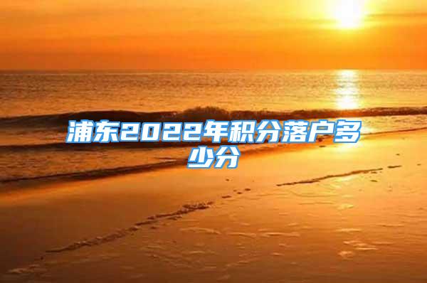 浦東2022年積分落戶多少分