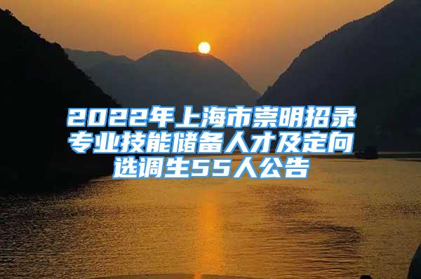 2022年上海市崇明招錄專業(yè)技能儲備人才及定向選調生55人公告