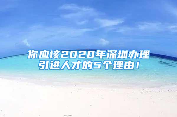 你應(yīng)該2020年深圳辦理引進人才的5個理由！