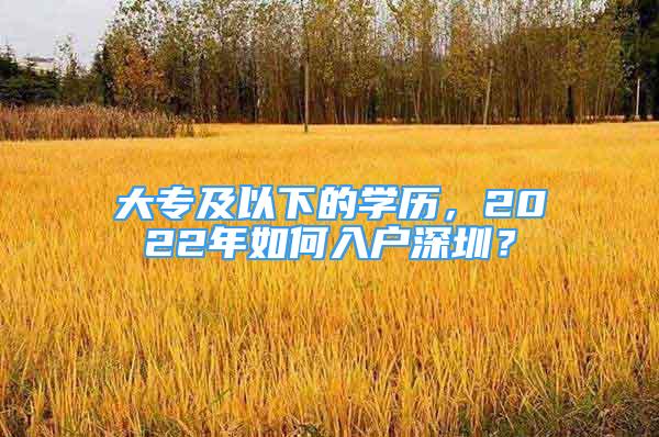 大專及以下的學歷，2022年如何入戶深圳？