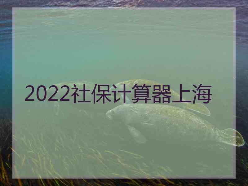 2022社保計(jì)算器上海