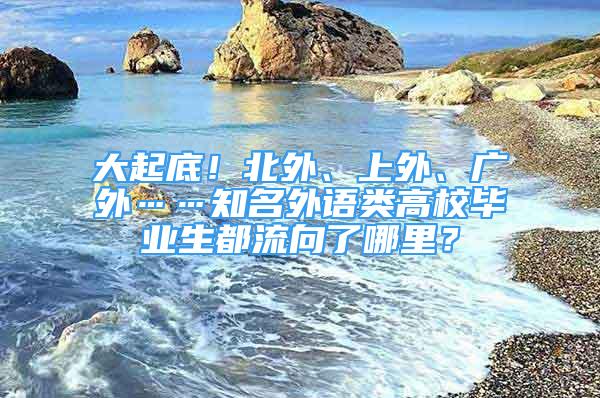 大起底！北外、上外、廣外……知名外語類高校畢業(yè)生都流向了哪里？