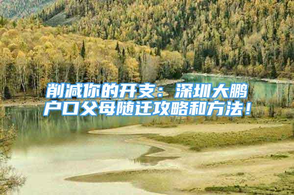 削減你的開支：深圳大鵬戶口父母隨遷攻略和方法！