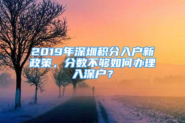 2019年深圳積分入戶新政策，分?jǐn)?shù)不夠如何辦理入深戶？