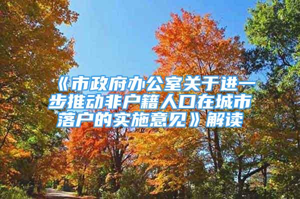 《市政府辦公室關(guān)于進一步推動非戶籍人口在城市落戶的實施意見》解讀