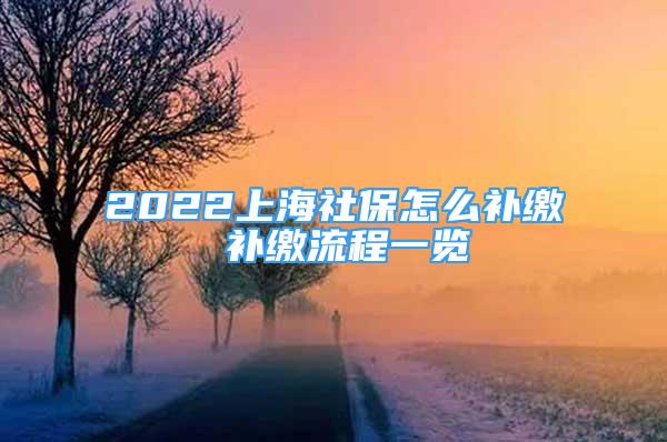 2022上海社保怎么補(bǔ)繳 補(bǔ)繳流程一覽