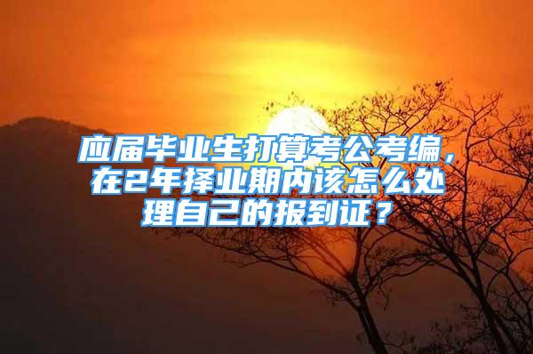 應(yīng)屆畢業(yè)生打算考公考編，在2年擇業(yè)期內(nèi)該怎么處理自己的報(bào)到證？