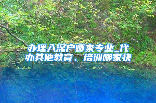 辦理入深戶哪家專業(yè)_代辦其他教育、培訓(xùn)哪家快