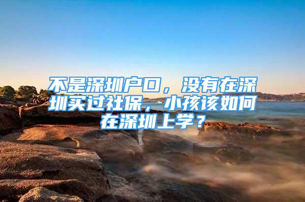 不是深圳戶口，沒有在深圳買過社保，小孩該如何在深圳上學(xué)？