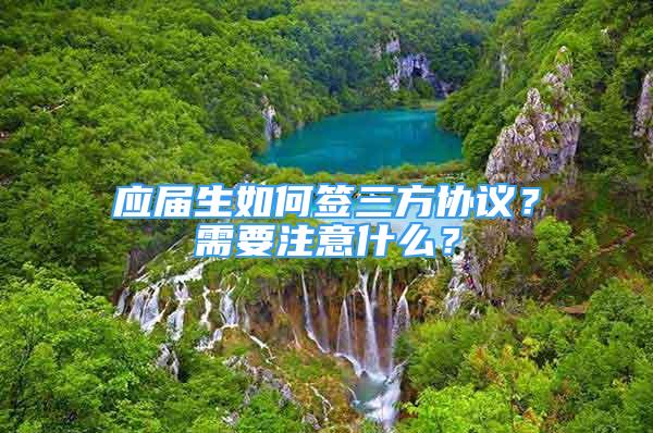 應(yīng)屆生如何簽三方協(xié)議？需要注意什么？