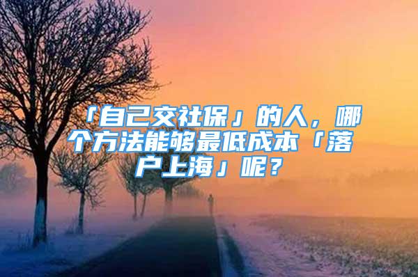 「自己交社保」的人，哪個方法能夠最低成本「落戶上?！鼓?？