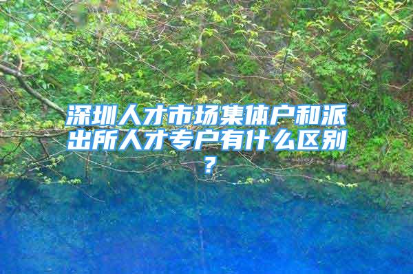 深圳人才市場集體戶和派出所人才專戶有什么區(qū)別？