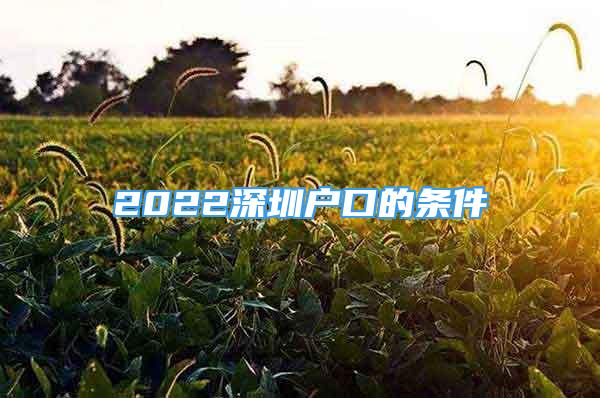 2022深圳戶口的條件