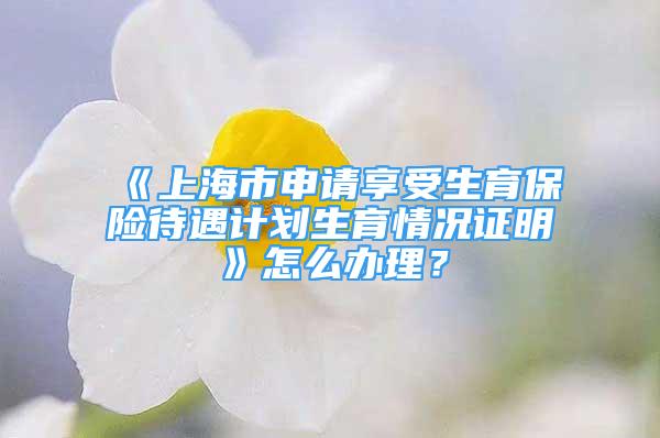 《上海市申請(qǐng)享受生育保險(xiǎn)待遇計(jì)劃生育情況證明》怎么辦理？