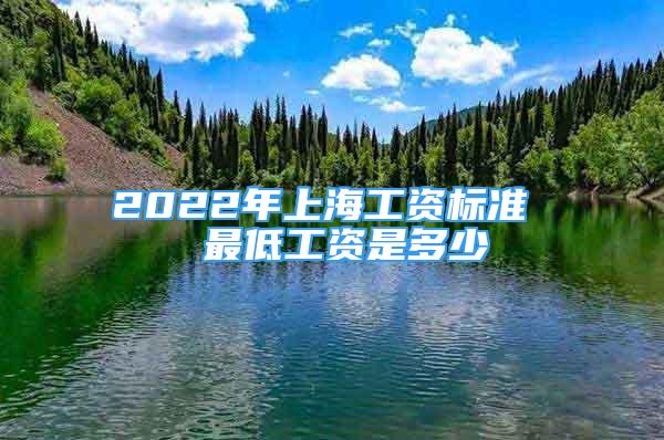 2022年上海工資標(biāo)準(zhǔn)  最低工資是多少