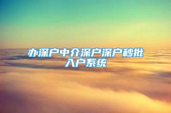 辦深戶中介深戶深戶秒批入戶系統(tǒng)