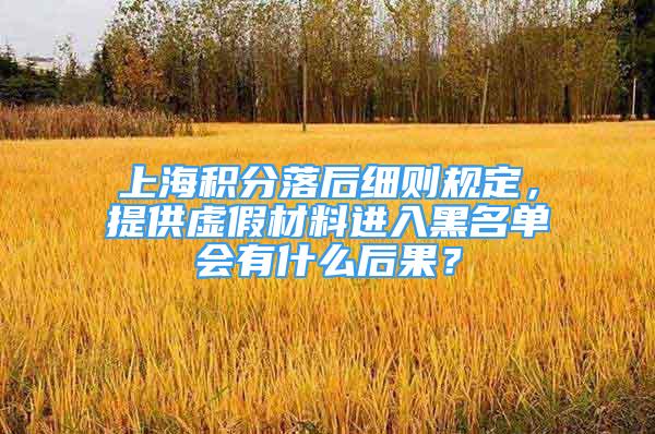 上海積分落后細則規(guī)定，提供虛假材料進入黑名單會有什么后果？