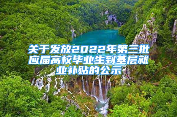 關于發(fā)放2022年第三批應屆高校畢業(yè)生到基層就業(yè)補貼的公示